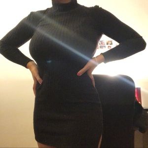 Aritzia Wilfred Free turtleneck dress